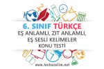 6. Sınıf Türkçe Eş Anlamlı, Zıt Anlamlı, Eş Sesli Kelimeler Testi