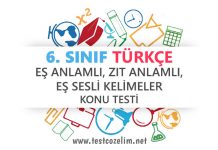 6. Sınıf Türkçe Eş Anlamlı, Zıt Anlamlı, Eş Sesli Kelimeler Testi