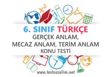 6. Sınıf Türkçe Gerçek, Mecaz, Terim Anlam Testi